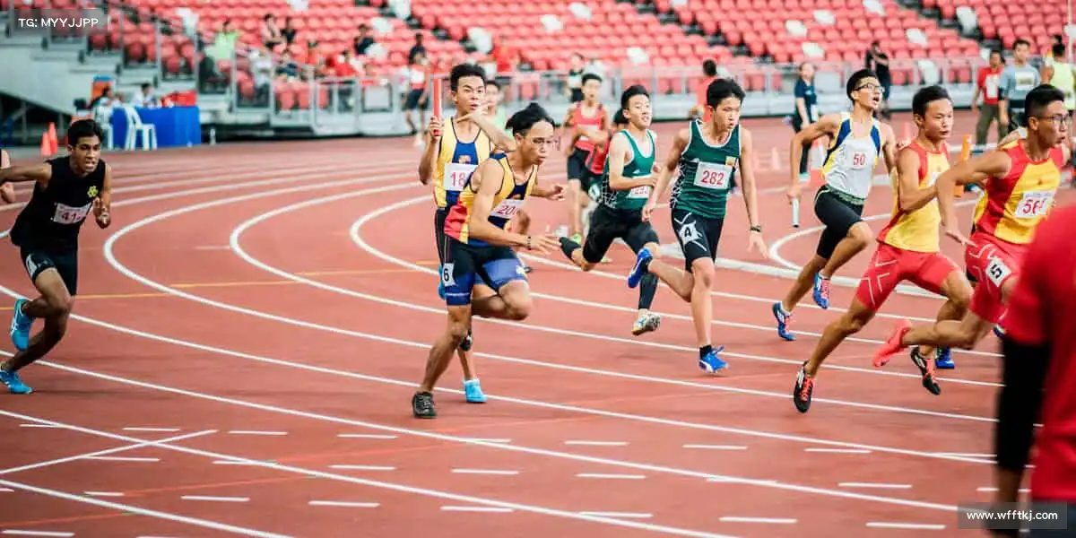 我们的性价比